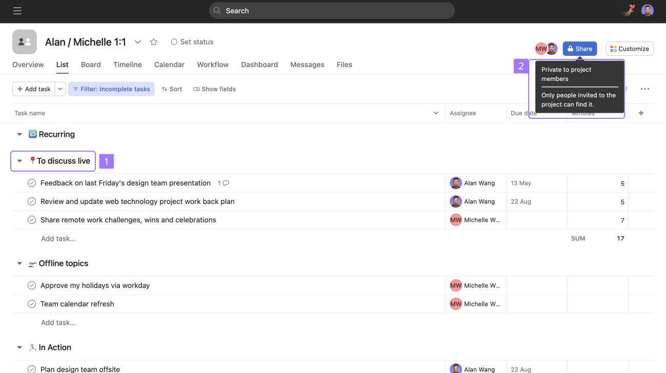 Asana for Team Leads