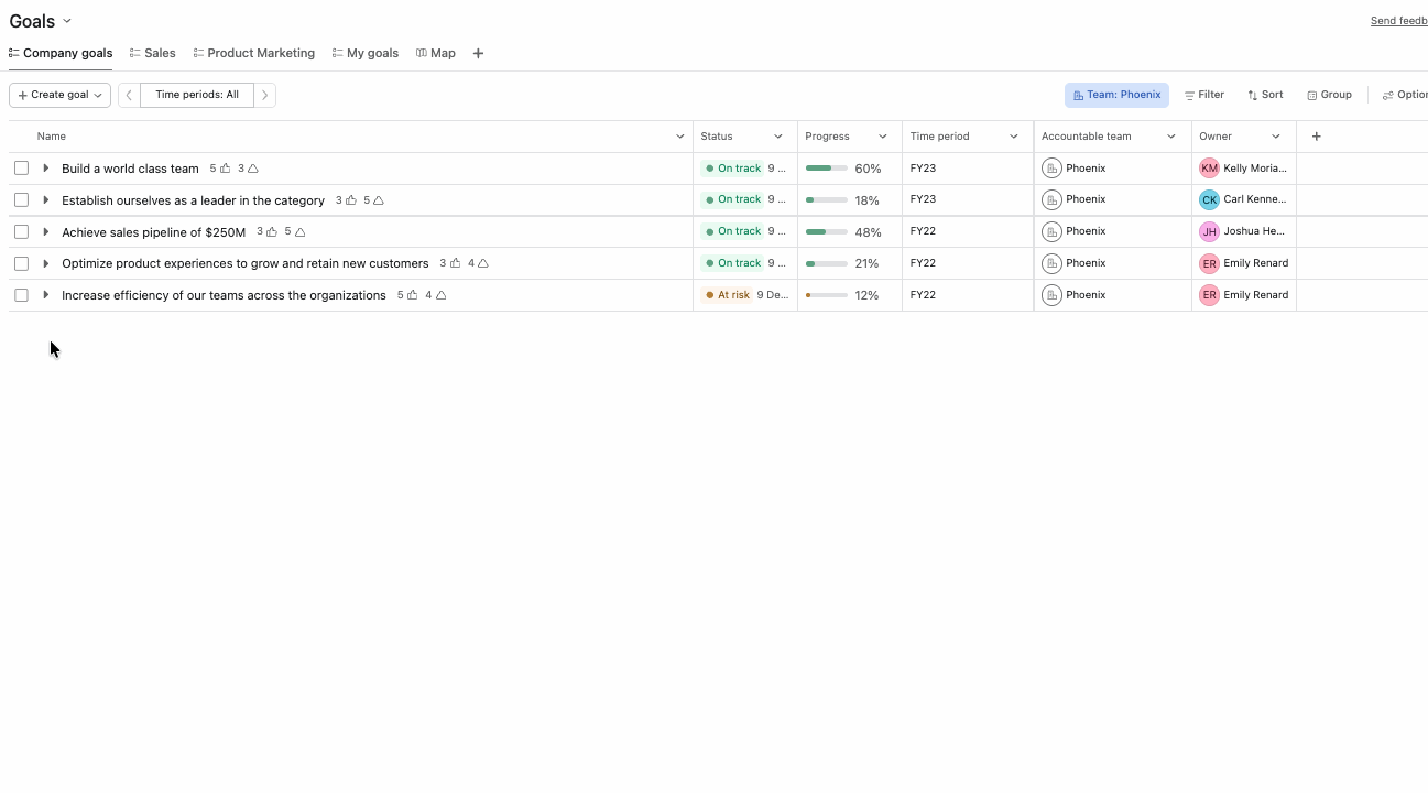 Create a Company Goal